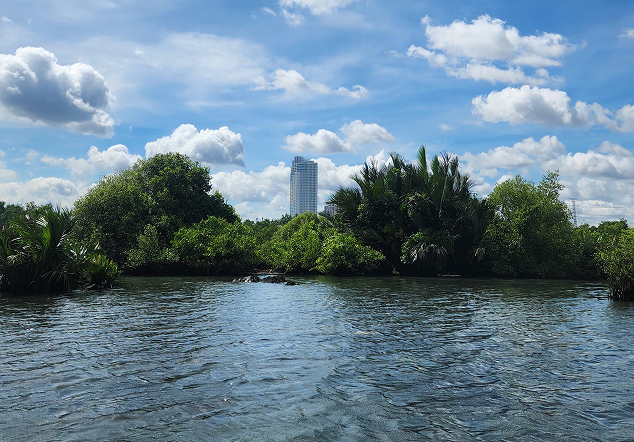 Peran Vital Mangrove dalam Pertahanan Pesisir Jakarta