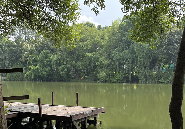 Konservasi dan Rehabilitasi Mangrove di DKI Jakarta: Upaya Menyelamatkan Pesisir dari Krisis Lingkungan