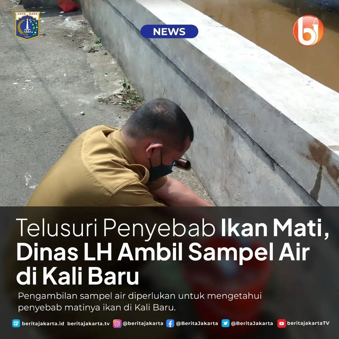 News